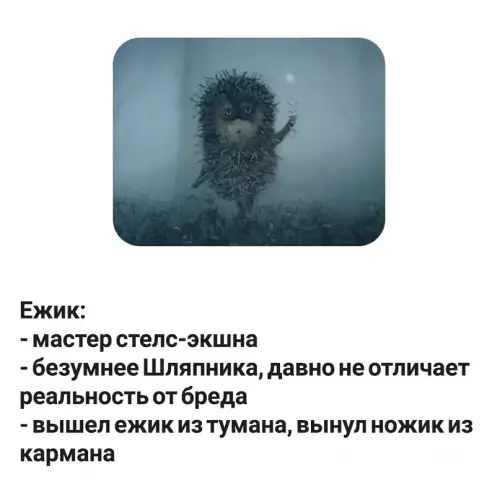 продолжение Смешная картинка №624431
