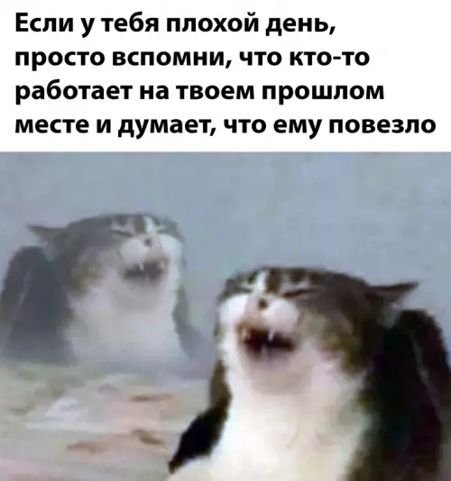 Смешная картинка №660486