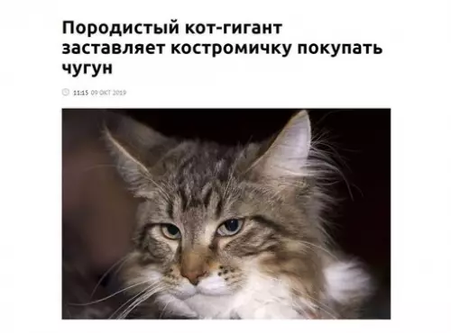 Смешная картинка №672123