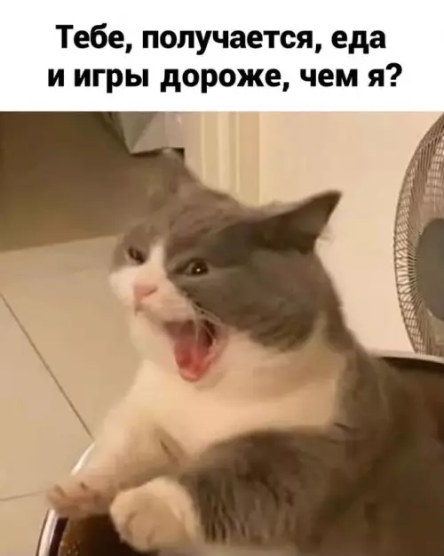 продолжение Смешная картинка №610328 Hy a чтo...
