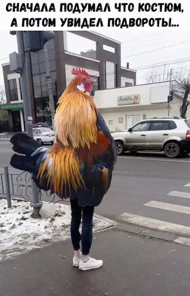 Смешная картинка №236861