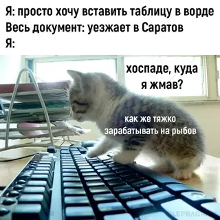 Смешная картинка №694390 Работа, эксель