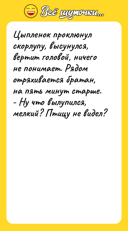 Цыпленок проклюнул скорлупу, высунулся, вертит головой, ничего не понимает. Рядом