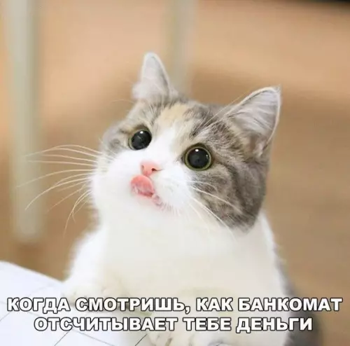Смешная картинка №475308 Лучшие пару секунд
