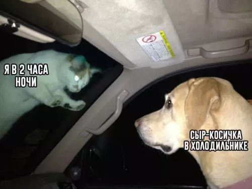 Смешная картинка №775944