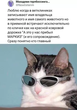 Смешная картинка №714035