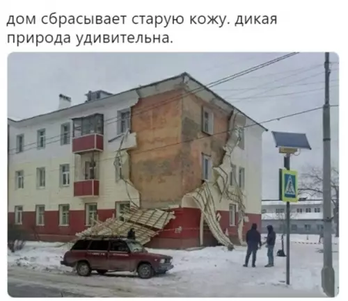 Смешная картинка №325801 Приpoда прекpaсна.