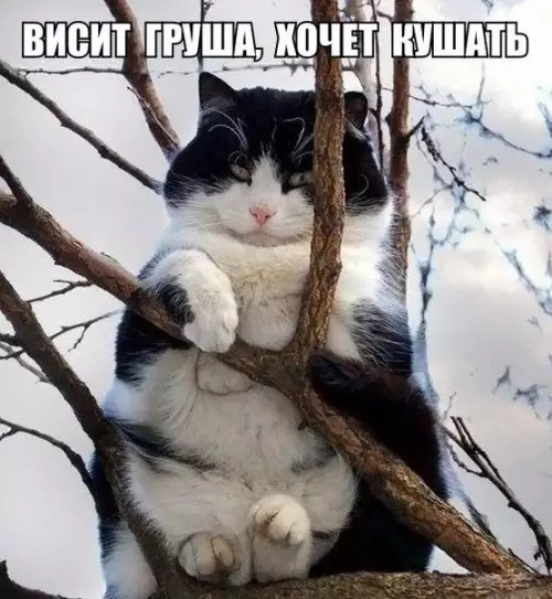 Смешная картинка №192038
