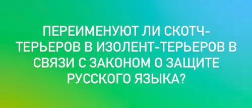 Скотч-терьеры или изолент-терьеры?