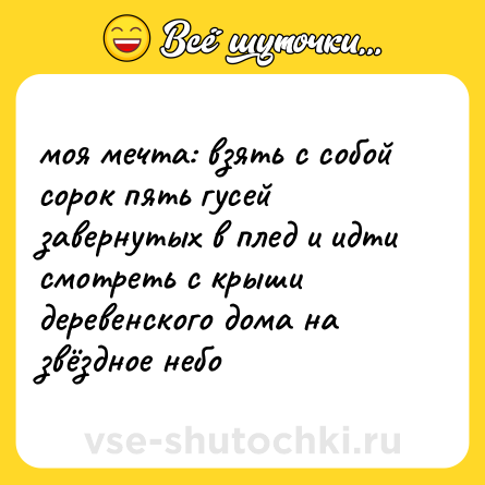 Шутка: моя мечта: взять с собой сорок пять гусей завернутых в плед и идти смотреть с крыши деревенского дома на звёздное небо
