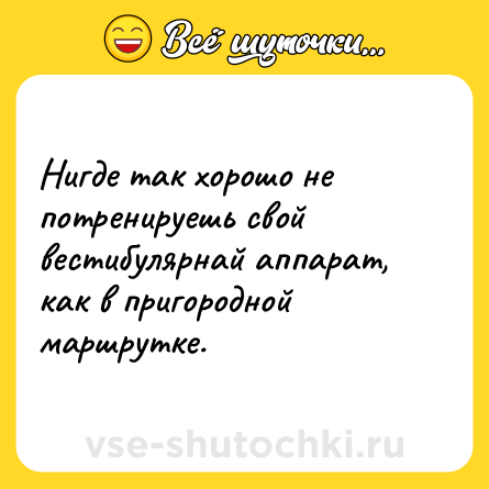 Шутка: Нигде так хорошо не потренируешь свой вестибулярнай аппарат, как в пригородной маршрутке.