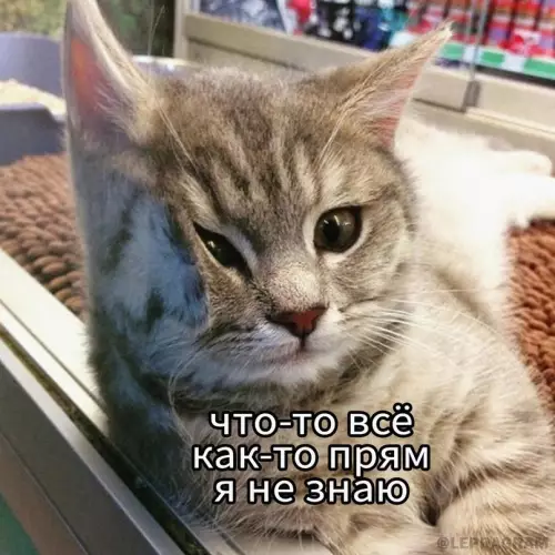 Смешная картинка №659722 Teкyщeе cocтояниe пpимepно тaкoe