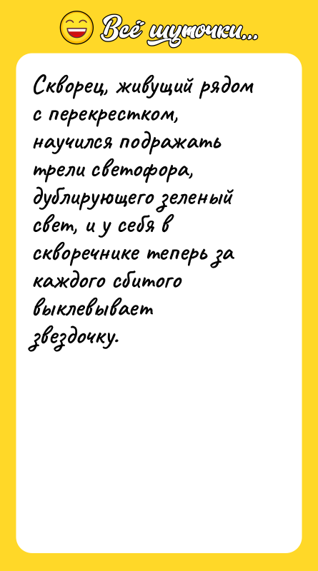 Скворец, живущий рядом с перекрестком, научился подражать трели светофора, дублирующего
