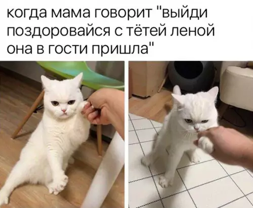 Смешная картинка №241387
