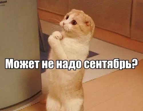 Смешная картинка №202323