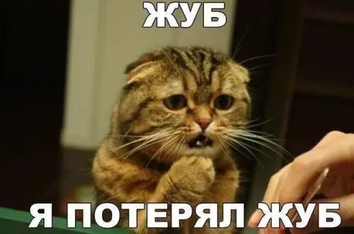Смешная картинка №190277