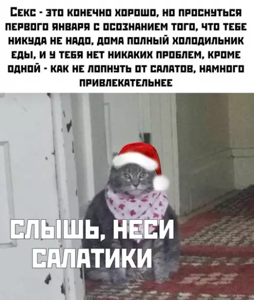 Смешная картинка №435852 Первое января