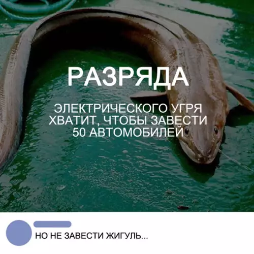 Смешная картинка №285554