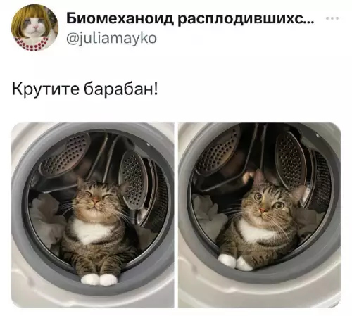 Смешная картинка №702826