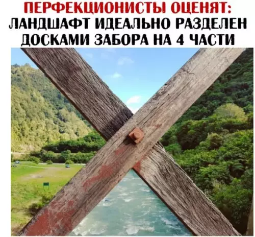 Смешная картинка №185005