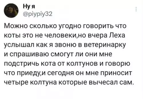 Смешная картинка №718565