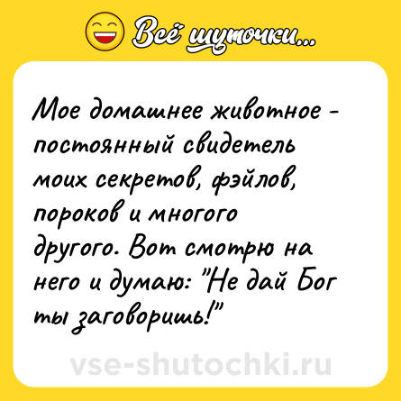 Шутка: Мое домашнее животное - постоянный свидетель моих секретов, фэйлов, пороков и многого другого. Вот смотрю на него и думаю: 