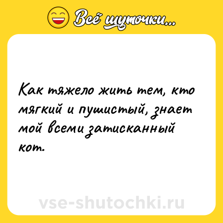 Шутка: Как тяжело жить тем, кто мягкий и пушистый, знает мой всеми затисканный кот.