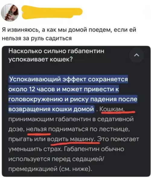 Смешная картинка №804661