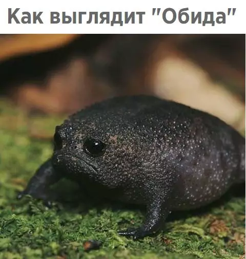 Смешная картинка №249642