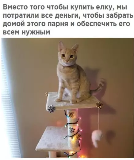 Смешная картинка №239046