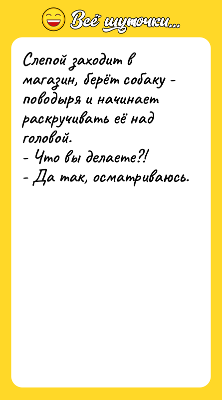 Слепой заходит в магазин, берёт собаку - поводыря и начинает