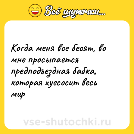 Шутка: Когда меня все бесят, во мне просыпается предподъездная бабка, которая хуесосит весь мир