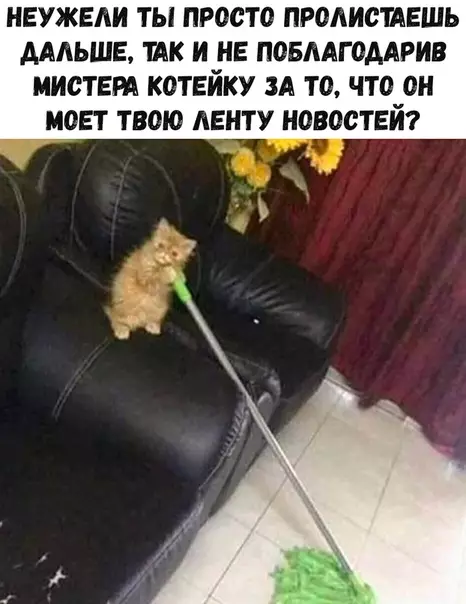 Смешная картинка №374033