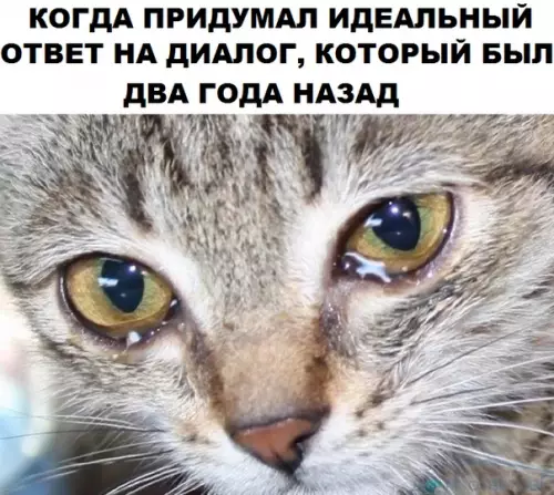 Смешная картинка №295950