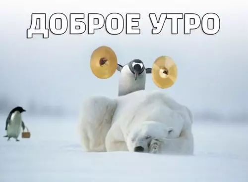 Смешная картинка №213326 Просыпайся! ? Отличного дня, друзья!