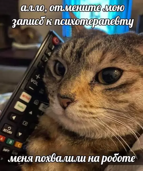 Смешная картинка №737456