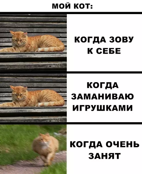 Смешная картинка №290621