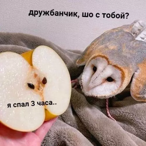 Смешная картинка №675218