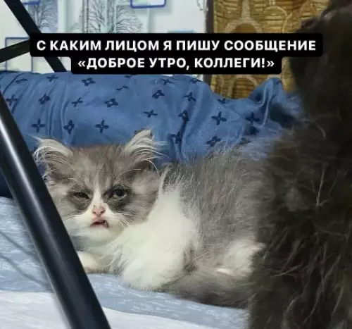 Смешная картинка №821688 Работа