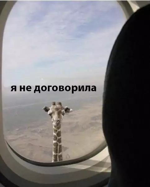 Смешная картинка №301413 Женщины...