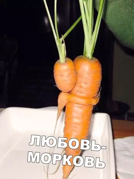Смешная картинка №406905 Так вот она какая