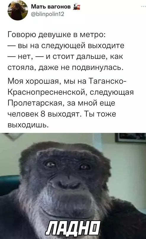 Смешная картинка №666762