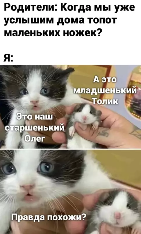 Смешная картинка №673161