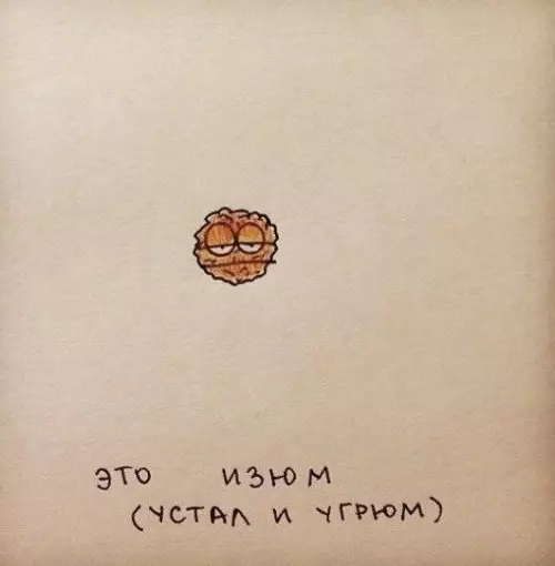 Смешная картинка №257967 Я немножко изюм