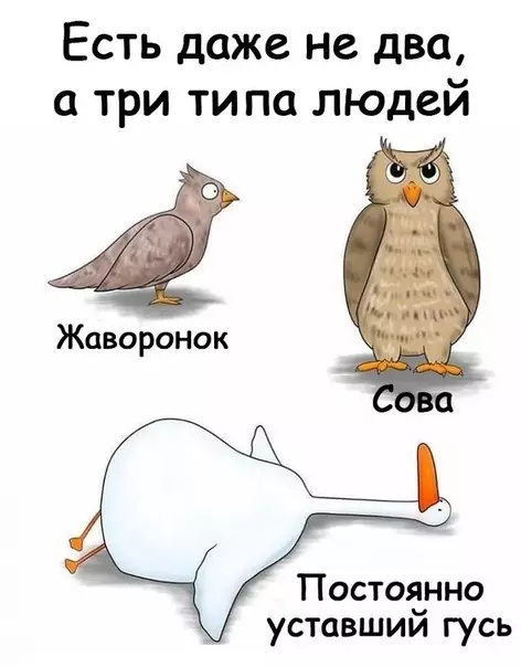 Смешная картинка №355806 А где дятeл?