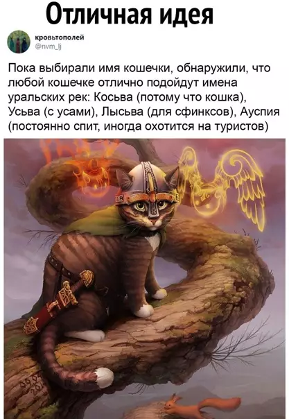 Смешная картинка №541134 Прекрасная идея.