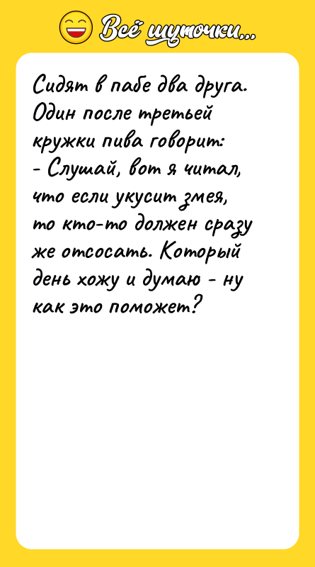 Сидят в пабе два друга. Один после третьей кружки пива