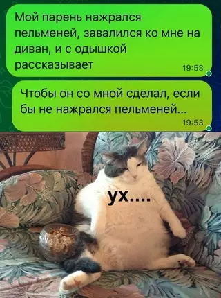 Смешная картинка №689561