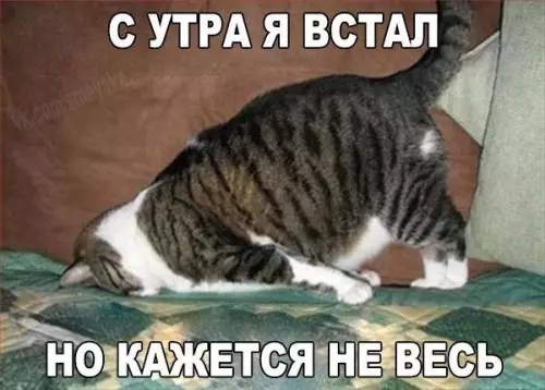Смешная картинка №196315