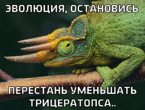 Эволюция, ты че творишь?! 🦖😂 - ЭВОЛЮЦИЯ, ОСТАНОВИСЬ ПЕРЕСТАНЬ УМЕНЬШАТЬ ТРИЦЕРАТОПСА..